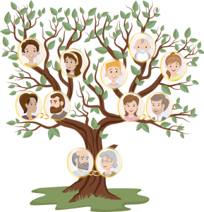 arbre généalogique.png