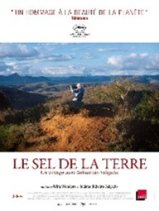 Sel de la terre.jpg